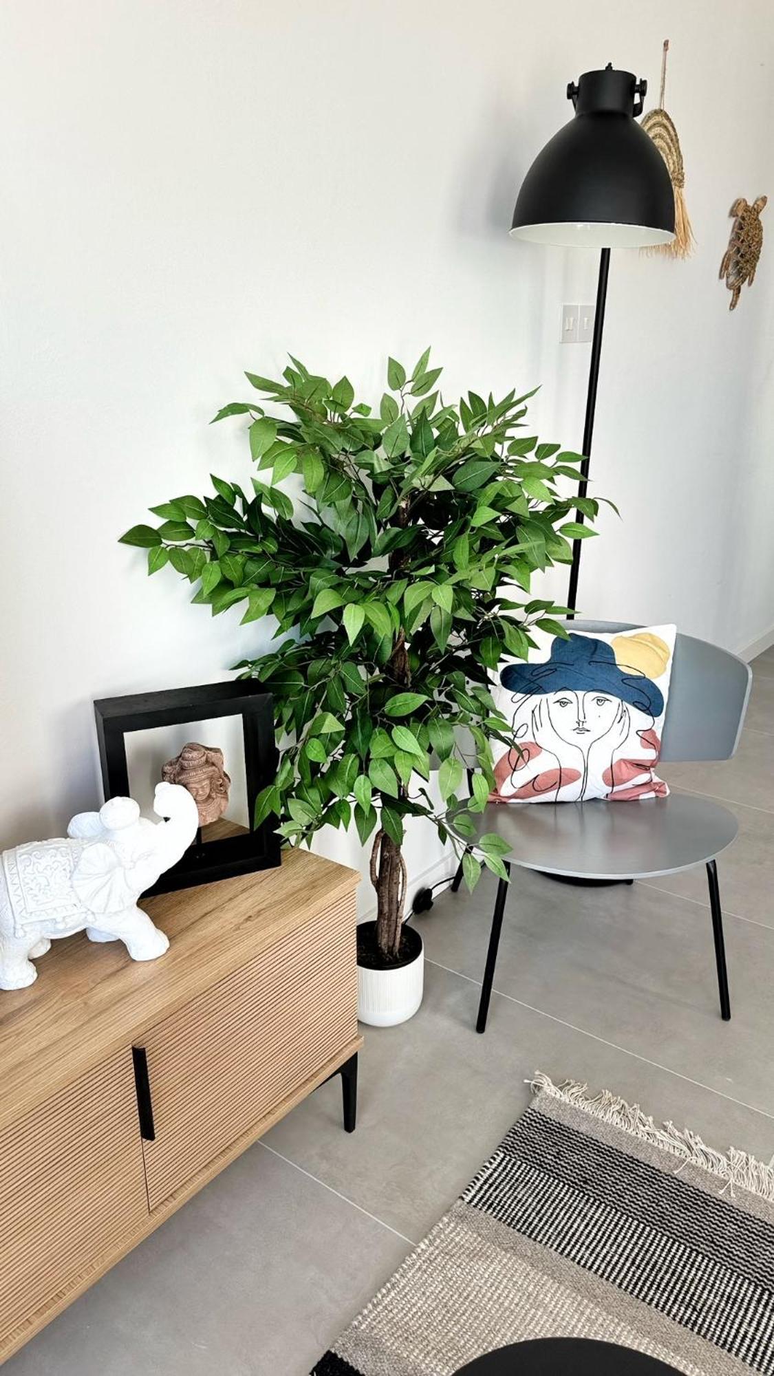 Peyia Paradise Apt エクステリア 写真